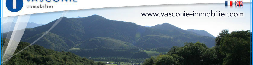 agence Vasconie Immobilier